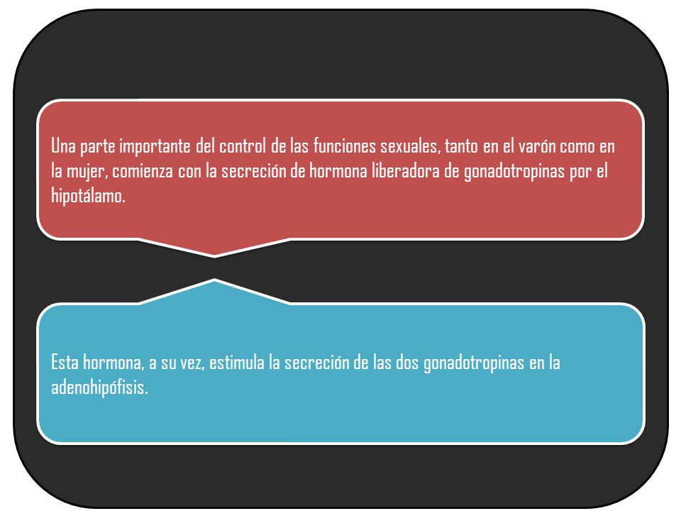 Una parte importante del control de las funciones sexuales, tanto en el varón como en la mujer, comienza con la secreción de hormona liberadora de gonadotropinas por el hipotálamo.