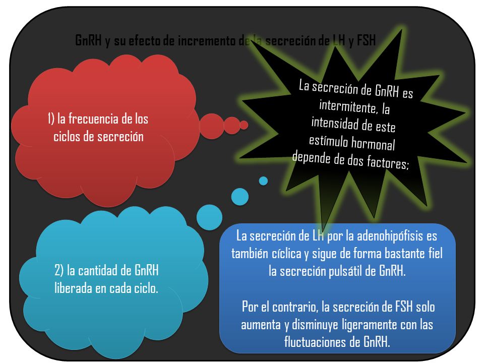 GnRH y su efecto de incremento de la secreción de LH y FSH
