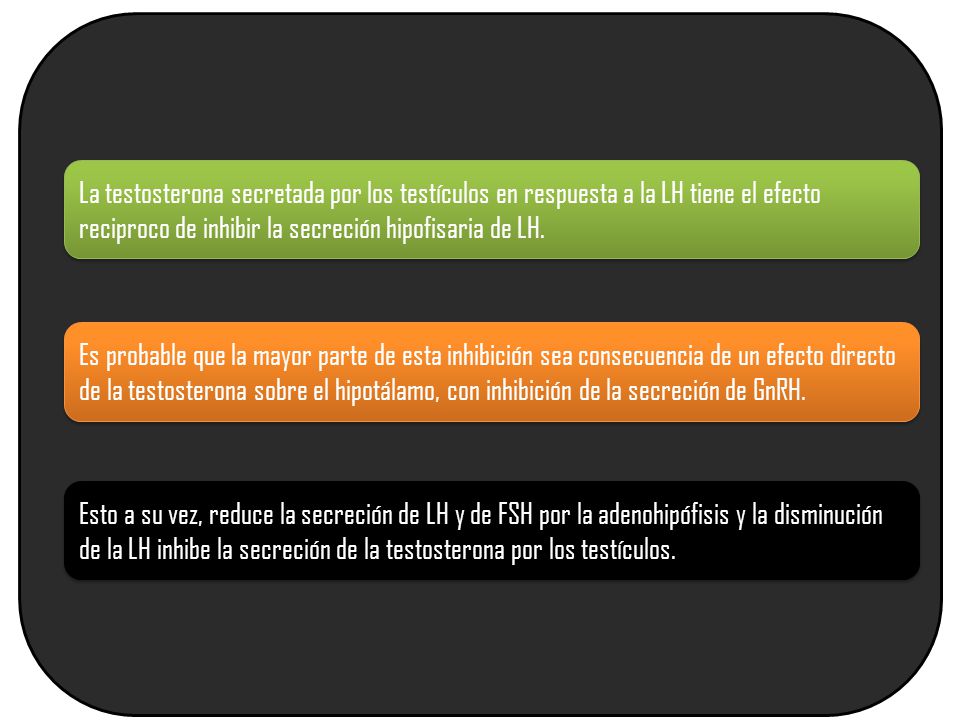 La testosterona secretada por los testículos en respuesta a la LH tiene el efecto reciproco de inhibir la secreción hipofisaria de LH.