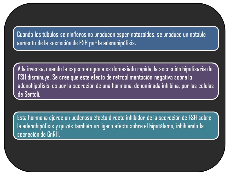 Cuando los túbulos seminíferos no producen espermatozoides, se produce un notable aumento de la secreción de FSH por la adenohipófisis.
