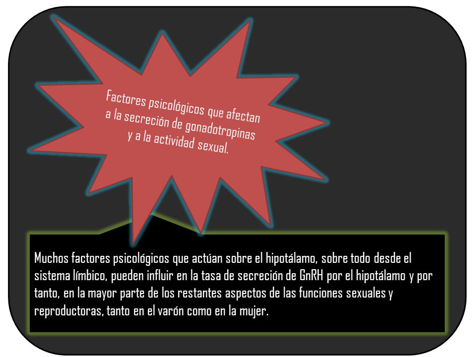 Factores psicológicos que afectan a la secreción de gonadotropinas y a la actividad sexual.