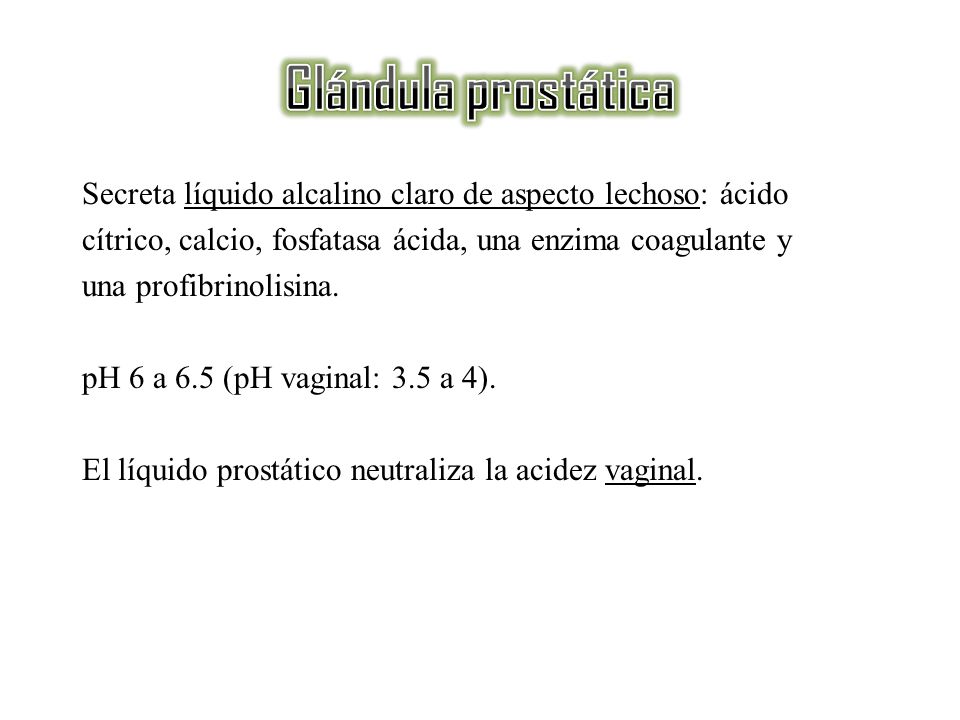 Glándula prostática Secreta líquido alcalino claro de aspecto lechoso: ácido. cítrico, calcio, fosfatasa ácida, una enzima coagulante y.