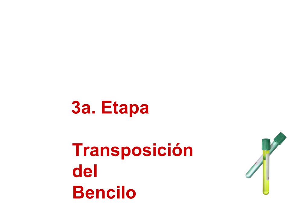 3a. Etapa Transposición del Bencilo