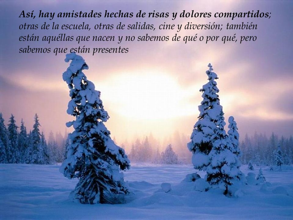 Así, hay amistades hechas de risas y dolores compartidos; otras de la escuela, otras de salidas, cine y diversión; también están aquéllas que nacen y no sabemos de qué o por qué, pero sabemos que están presentes
