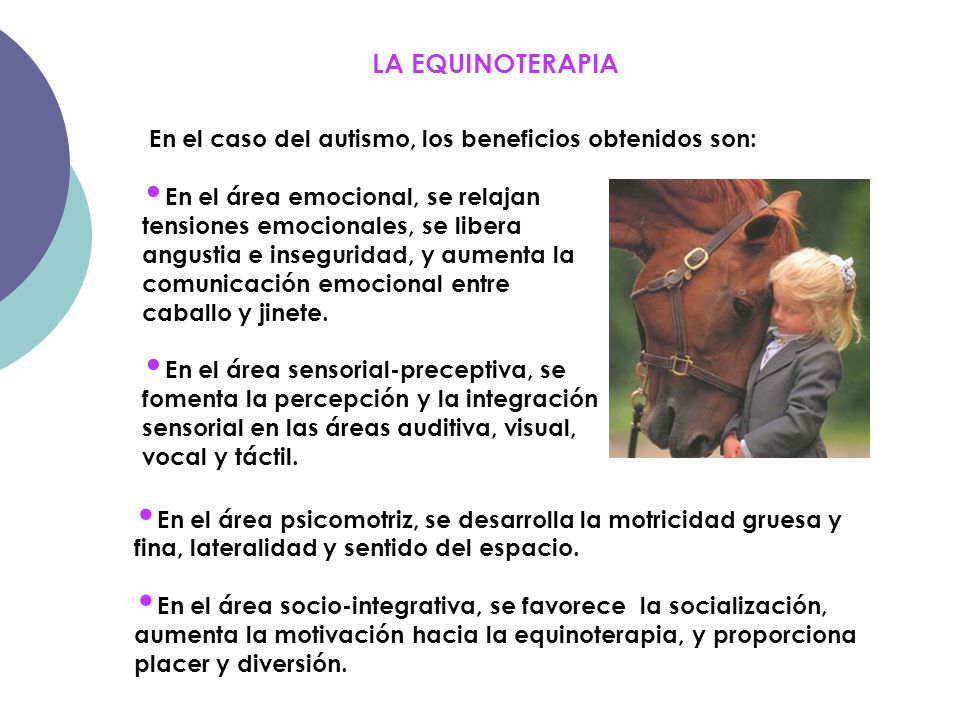 LA EQUINOTERAPIA En el caso del autismo, los beneficios obtenidos son:
