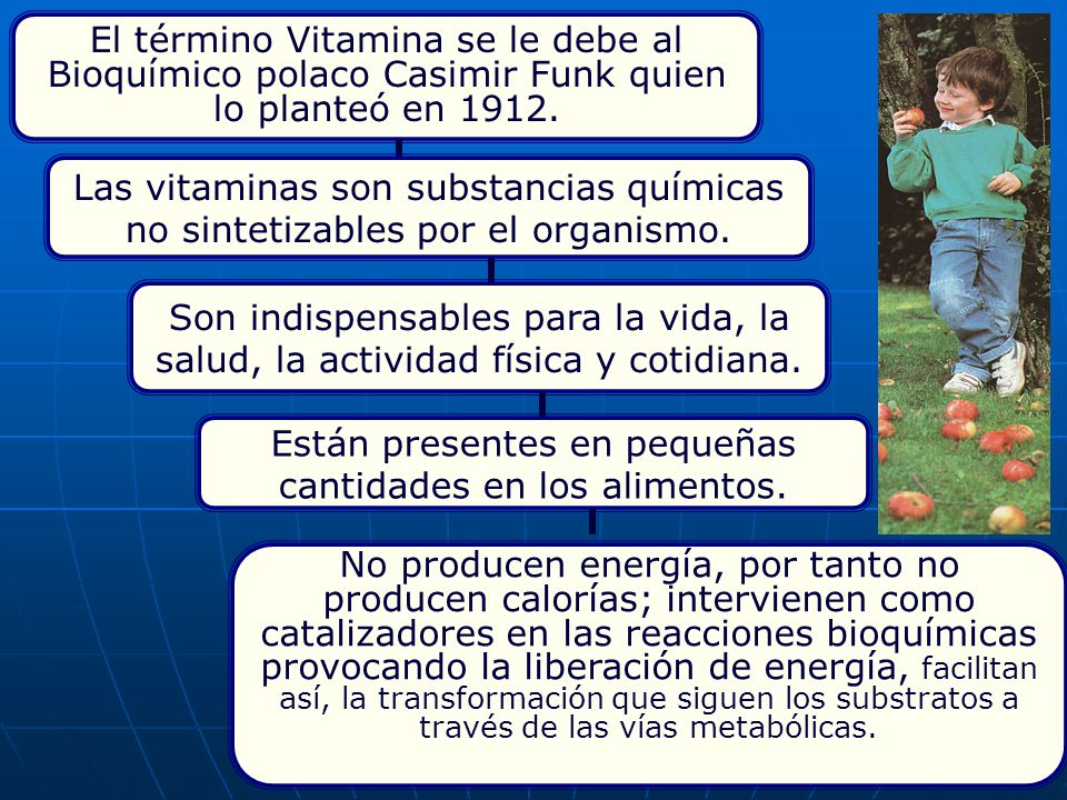 Están presentes en pequeñas cantidades en los alimentos.