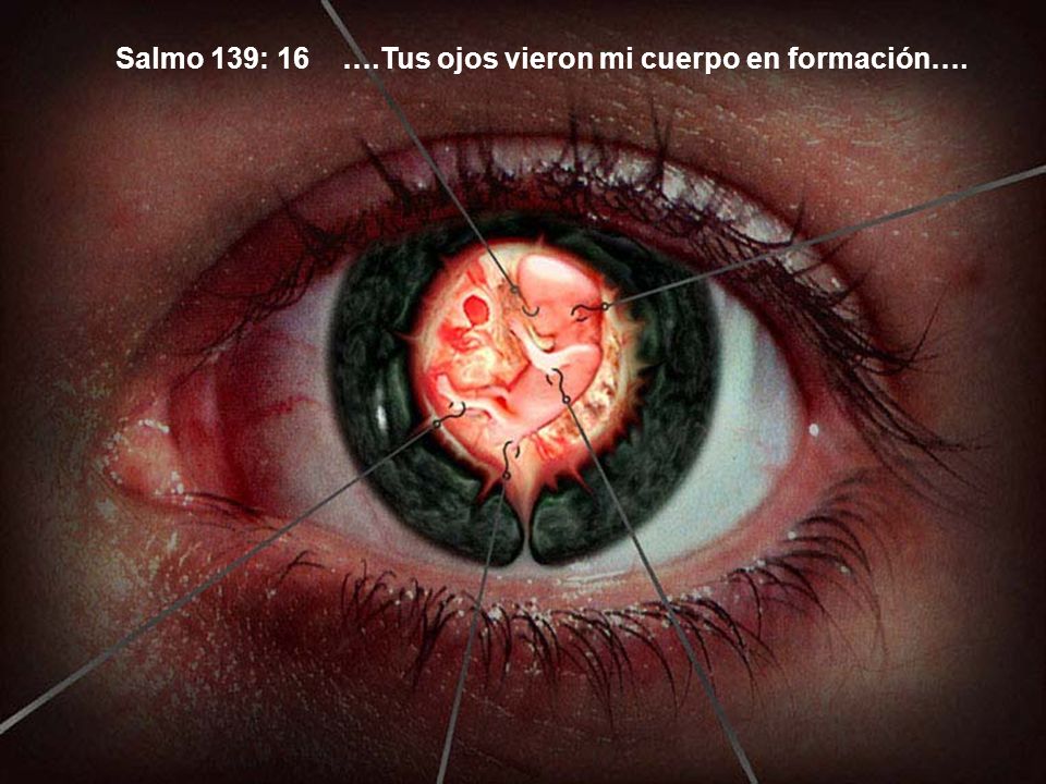 Salmo 139: 16 ….Tus ojos vieron mi cuerpo en formación….