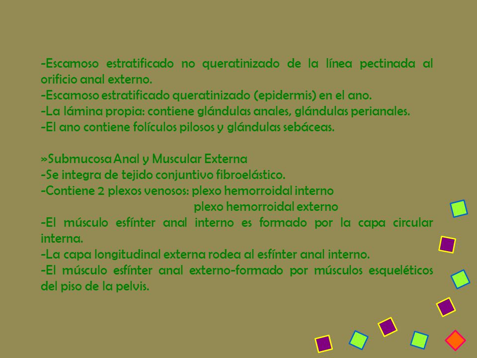 -Escamoso estratificado no queratinizado de la línea pectinada al orificio anal externo.