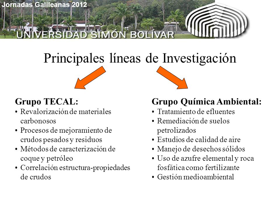 Principales líneas de Investigación