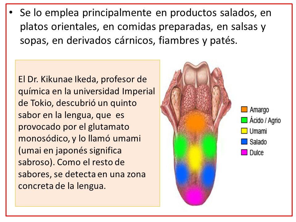 Se lo emplea principalmente en productos salados, en platos orientales, en comidas preparadas, en salsas y sopas, en derivados cárnicos, fiambres y patés.