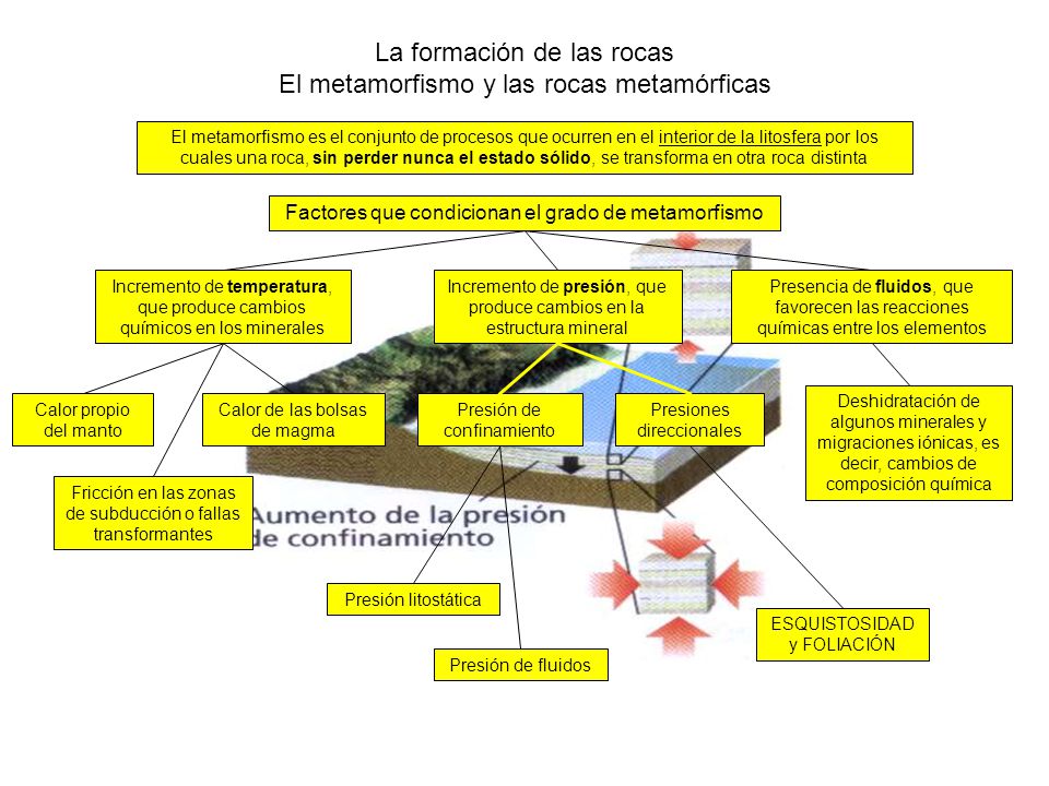 La formación de las rocas El metamorfismo y las rocas metamórficas