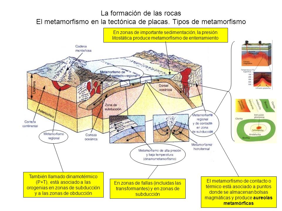 La formación de las rocas El metamorfismo en la tectónica de placas