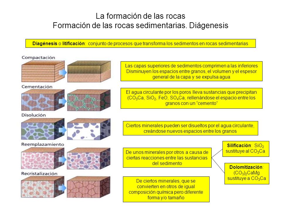 La formación de las rocas Formación de las rocas sedimentarias