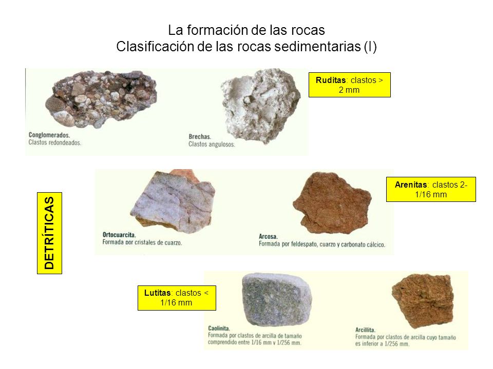 La formación de las rocas Clasificación de las rocas sedimentarias (I)