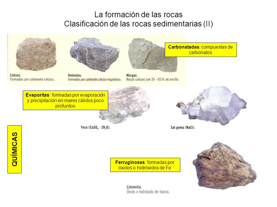 La formación de las rocas Clasificación de las rocas sedimentarias (II)