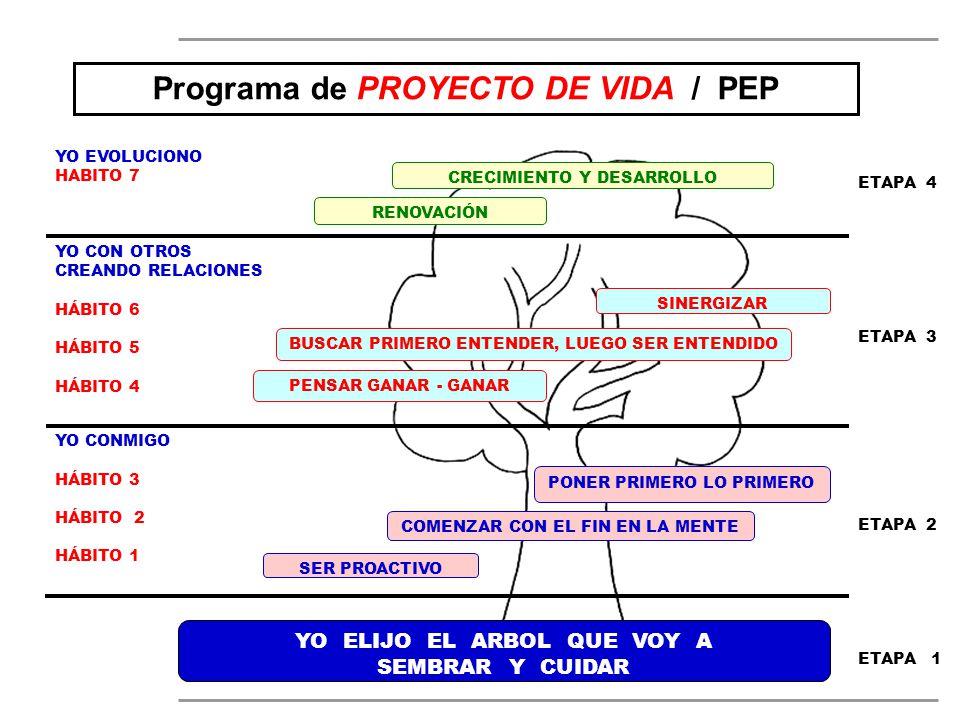 Programa de PROYECTO DE VIDA / PEP YO ELIJO EL ARBOL QUE VOY A