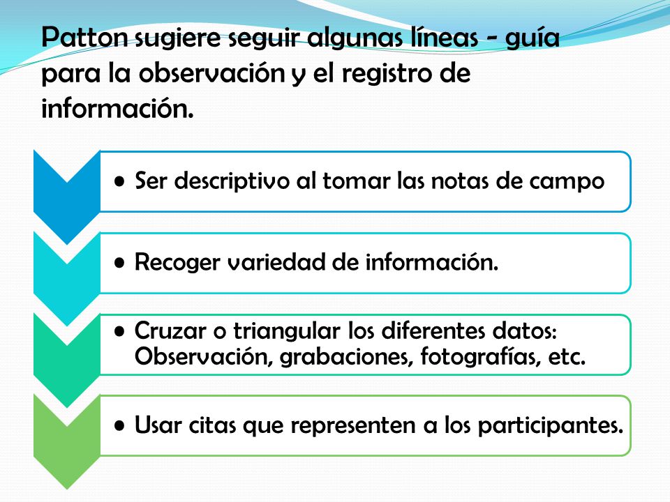 Patton sugiere seguir algunas líneas - guía para la observación y el registro de información.