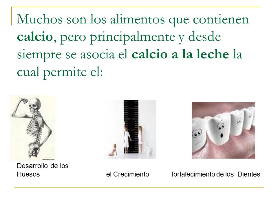 Muchos son los alimentos que contienen calcio, pero principalmente y desde siempre se asocia el calcio a la leche la cual permite el: