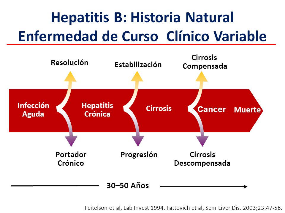 Hepatitis B: Historia Natural Enfermedad de Curso Clínico Variable