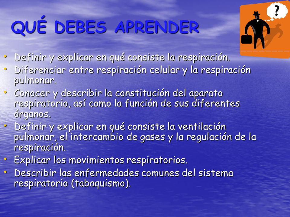 QUÉ DEBES APRENDER Definir y explicar en qué consiste la respiración.
