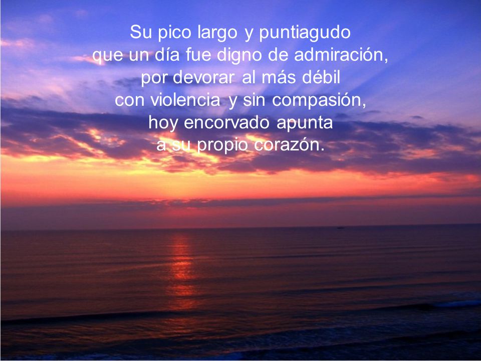 Su pico largo y puntiagudo que un día fue digno de admiración,