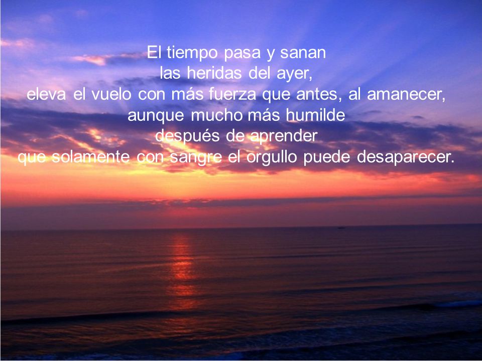 eleva el vuelo con más fuerza que antes, al amanecer,