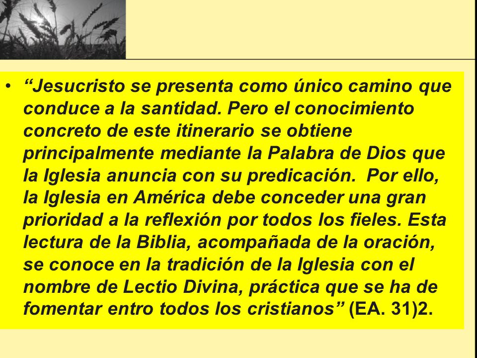 Jesucristo se presenta como único camino que conduce a la santidad