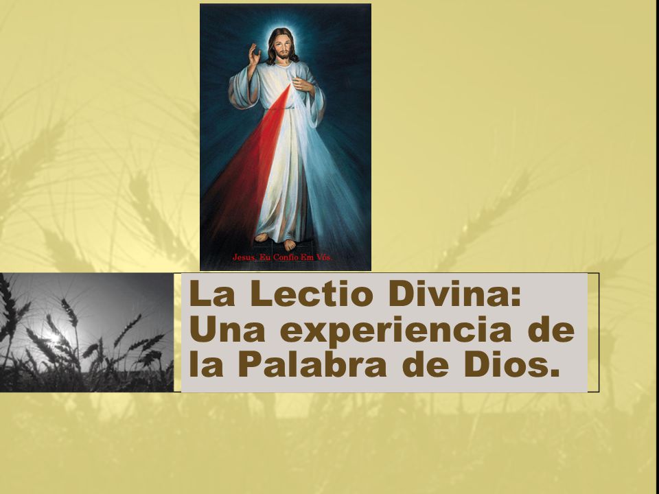 La Lectio Divina: Una experiencia de la Palabra de Dios.