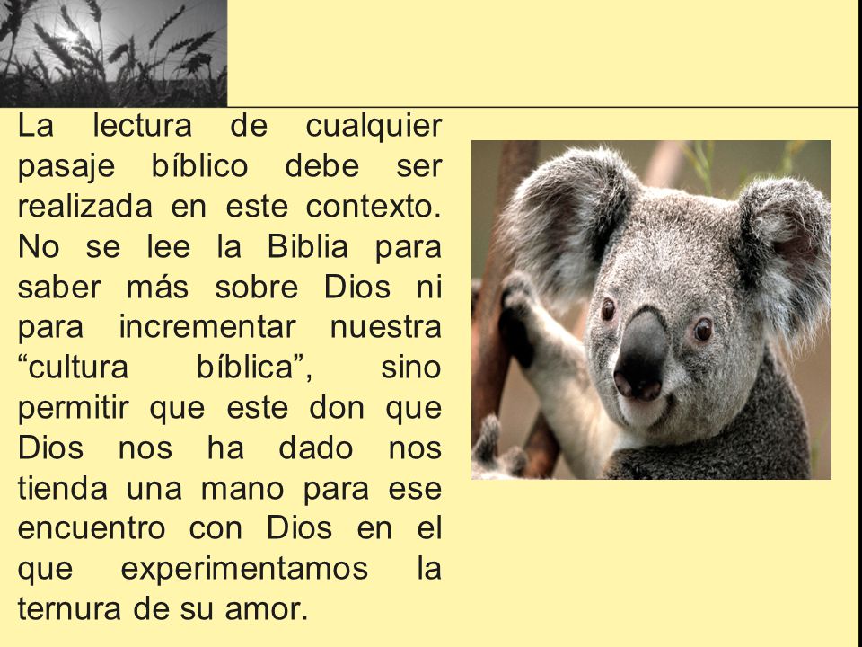 La lectura de cualquier pasaje bíblico debe ser realizada en este contexto.