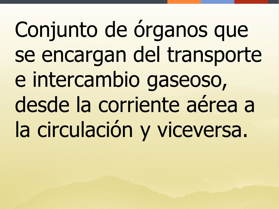 Conjunto de órganos que se encargan del transporte e intercambio gaseoso, desde la corriente aérea a la circulación y viceversa.