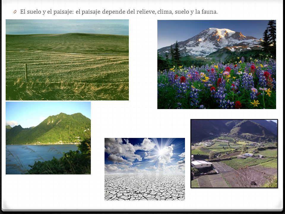 El suelo y el paisaje: el paisaje depende del relieve, clima, suelo y la fauna.