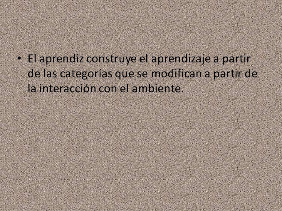 El aprendiz construye el aprendizaje a partir de las categorías que se modifican a partir de la interacción con el ambiente.