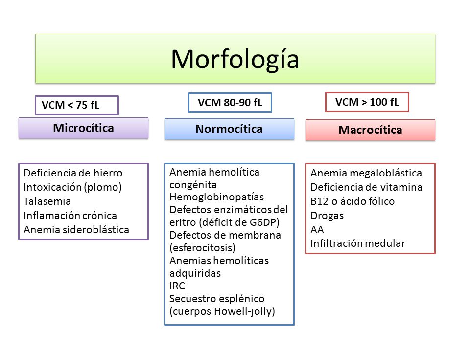 Morfología Microcítica Normocítica Macrocítica VCM < 75 fL