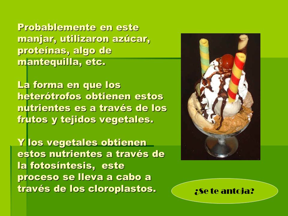 Probablemente en este manjar, utilizaron azúcar, proteínas, algo de mantequilla, etc. La forma en que los heterótrofos obtienen estos nutrientes es a través de los frutos y tejidos vegetales. Y los vegetales obtienen estos nutrientes a través de la fotosíntesis, este proceso se lleva a cabo a través de los cloroplastos.