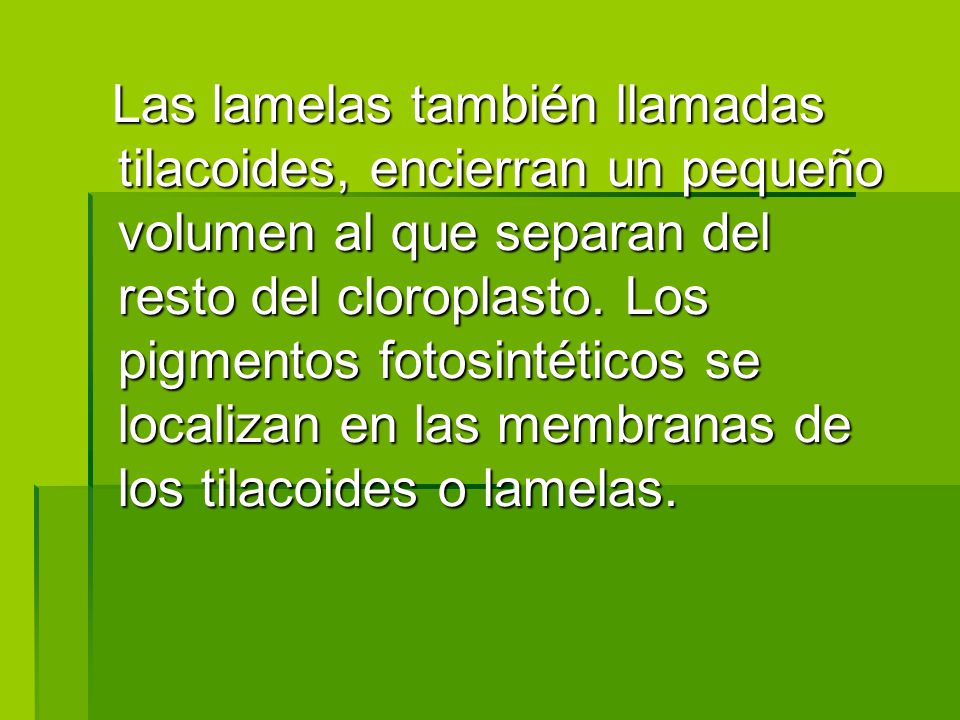 Las lamelas también llamadas tilacoides, encierran un pequeño volumen al que separan del resto del cloroplasto.