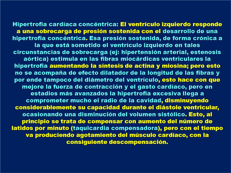 Hipertrofia cardíaca concéntrica: El ventrículo izquierdo responde a una sobrecarga de presión sostenida con el desarrollo de una hipertrofia concéntrica.