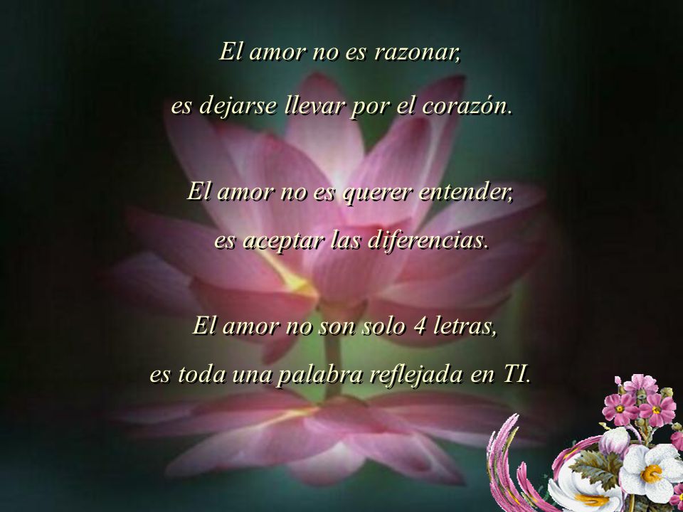 El amor no es razonar, es dejarse llevar por el corazón. El amor no es querer entender, es aceptar las diferencias.