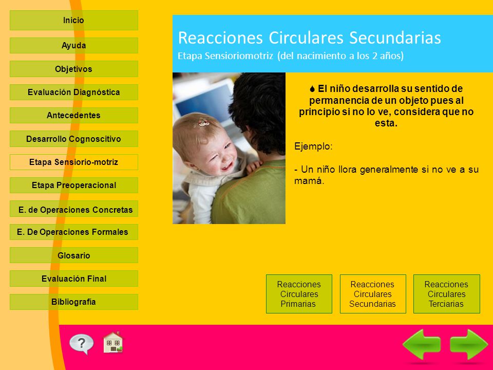 Inicio Reacciones Circulares Secundarias Etapa Sensioriomotriz (del nacimiento a los 2 años) Ayuda.