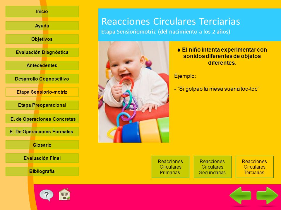 Inicio Reacciones Circulares Terciarias Etapa Sensioriomotriz (del nacimiento a los 2 años) Ayuda.
