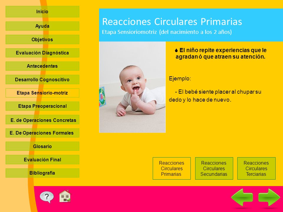 Inicio Reacciones Circulares Primarias Etapa Sensioriomotriz (del nacimiento a los 2 años) Ayuda. Objetivos.