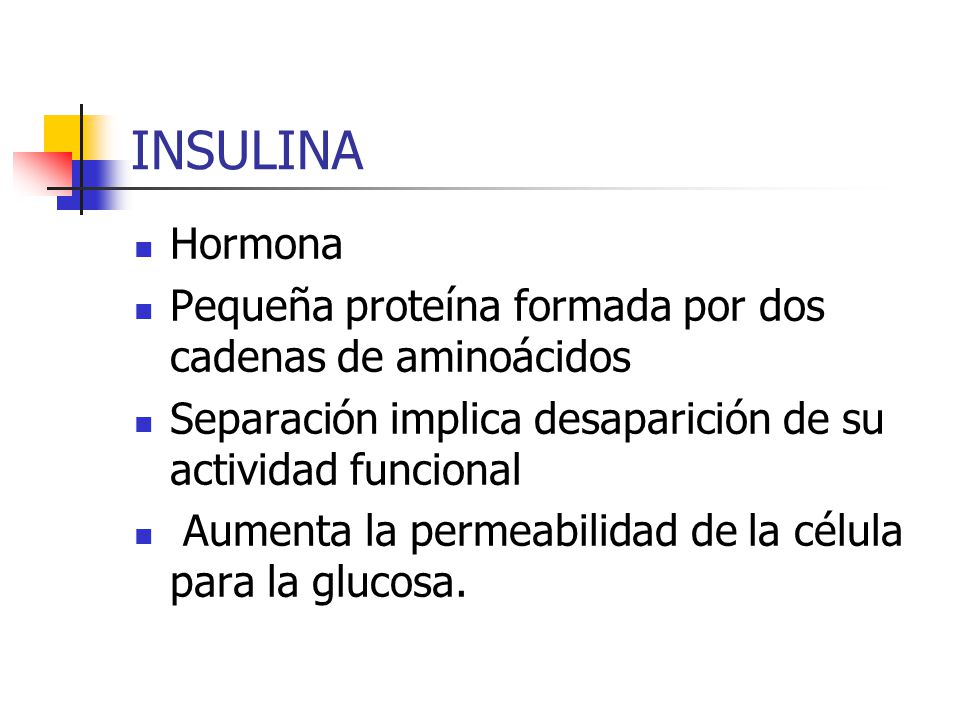 INSULINA Hormona. Pequeña proteína formada por dos cadenas de aminoácidos. Separación implica desaparición de su actividad funcional.