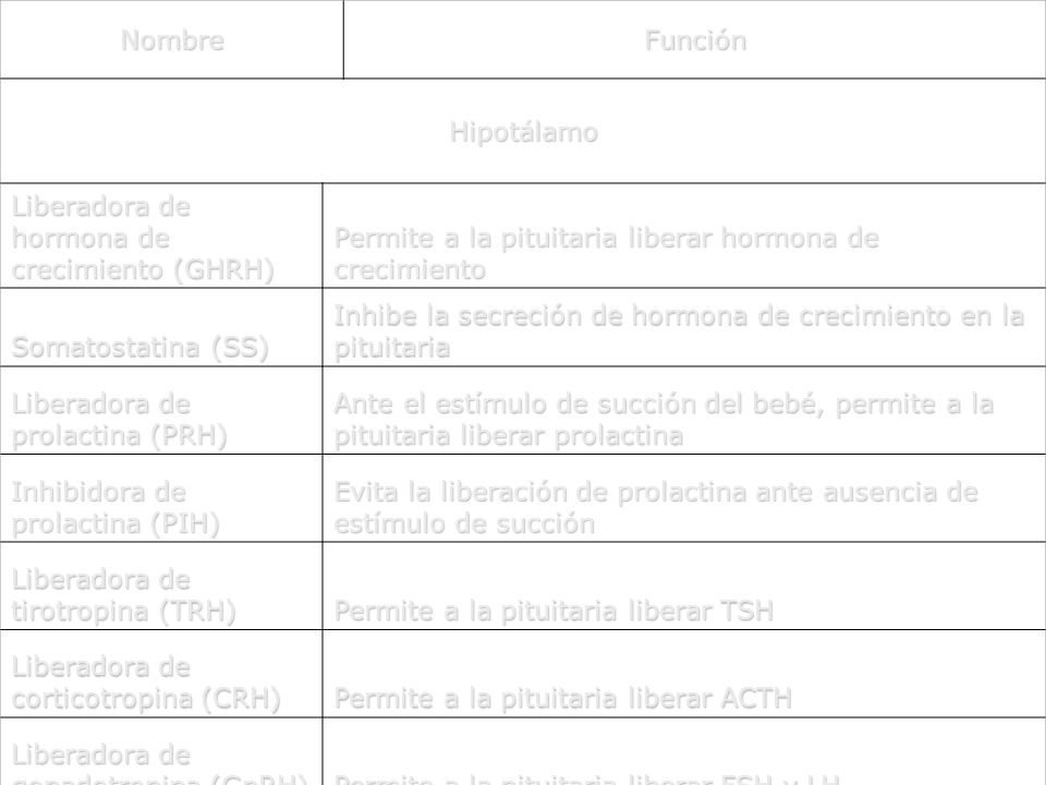 Nombre Función. Hipotálamo. Liberadora de hormona de crecimiento (GHRH) Permite a la pituitaria liberar hormona de crecimiento.