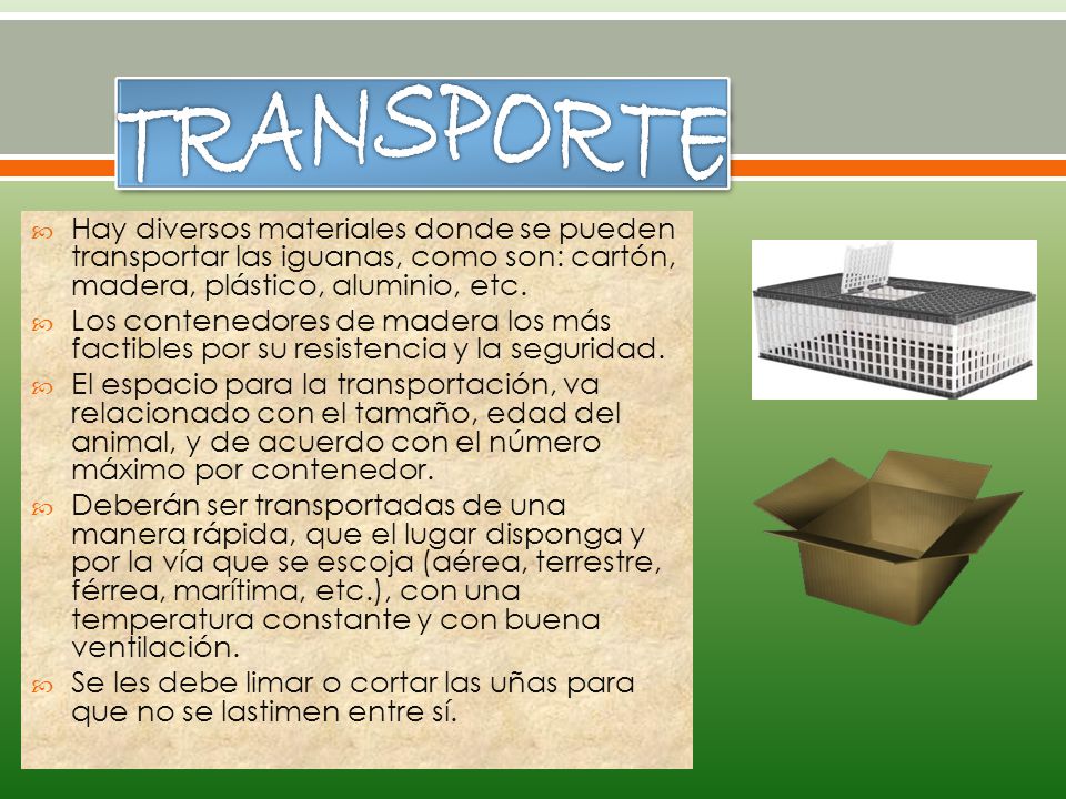 TRANSPORTE Hay diversos materiales donde se pueden transportar las iguanas, como son: cartón, madera, plástico, aluminio, etc.