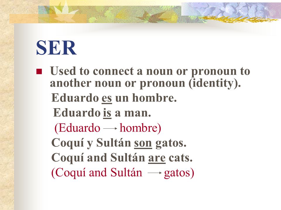 SER Used to connect a noun or pronoun to another noun or pronoun (identity). Eduardo es un hombre.
