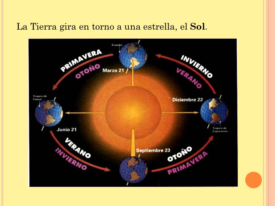 La Tierra gira en torno a una estrella, el Sol.