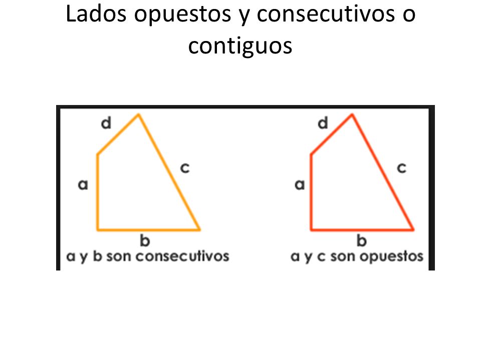Lados opuestos y consecutivos o contiguos