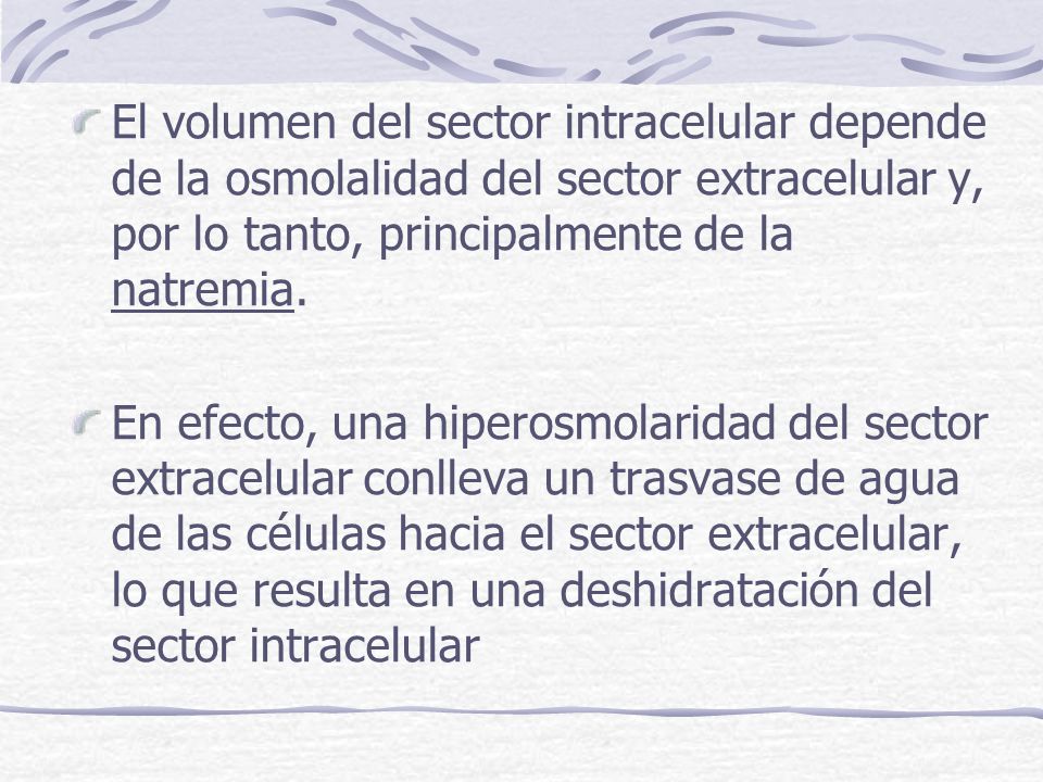 El volumen del sector intracelular depende de la osmolalidad del sector extracelular y, por lo tanto, principalmente de la natremia.