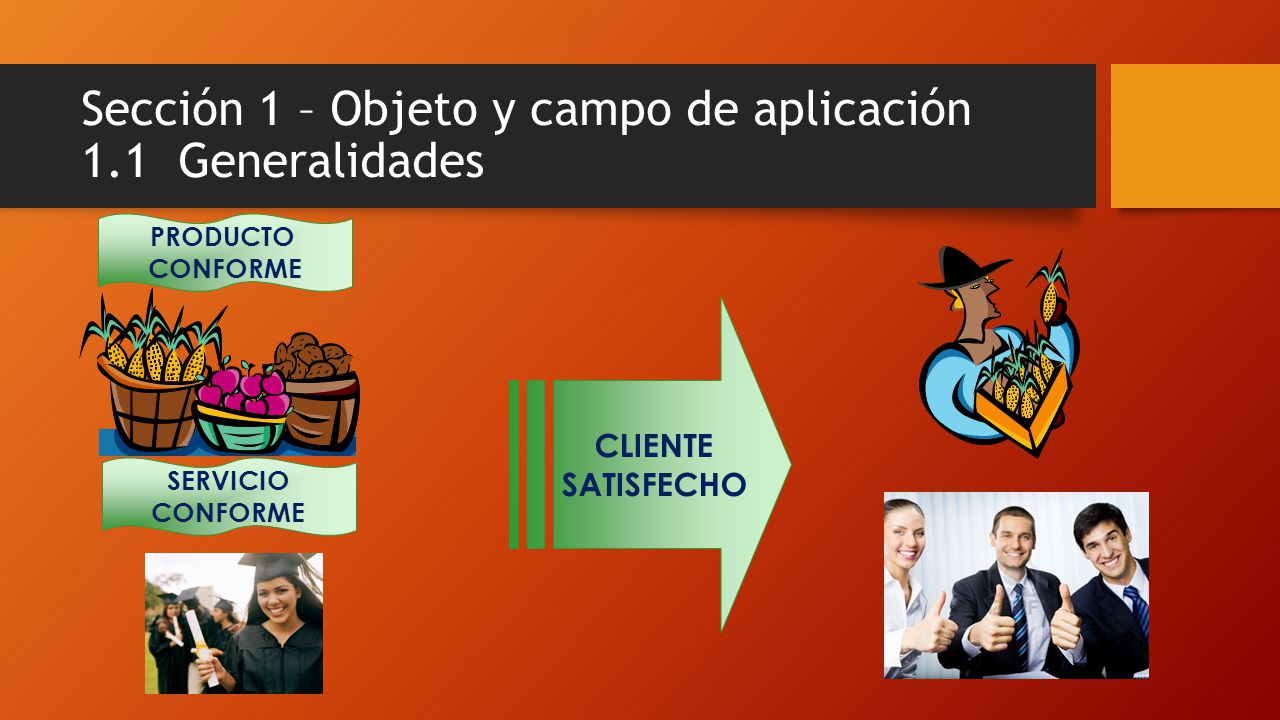 Sección 1 – Objeto y campo de aplicación 1.1 Generalidades