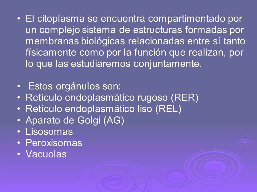 El citoplasma se encuentra compartimentado por un complejo sistema de estructuras formadas por membranas biológicas relacionadas entre sí tanto físicamente como por la función que realizan, por lo que las estudiaremos conjuntamente.