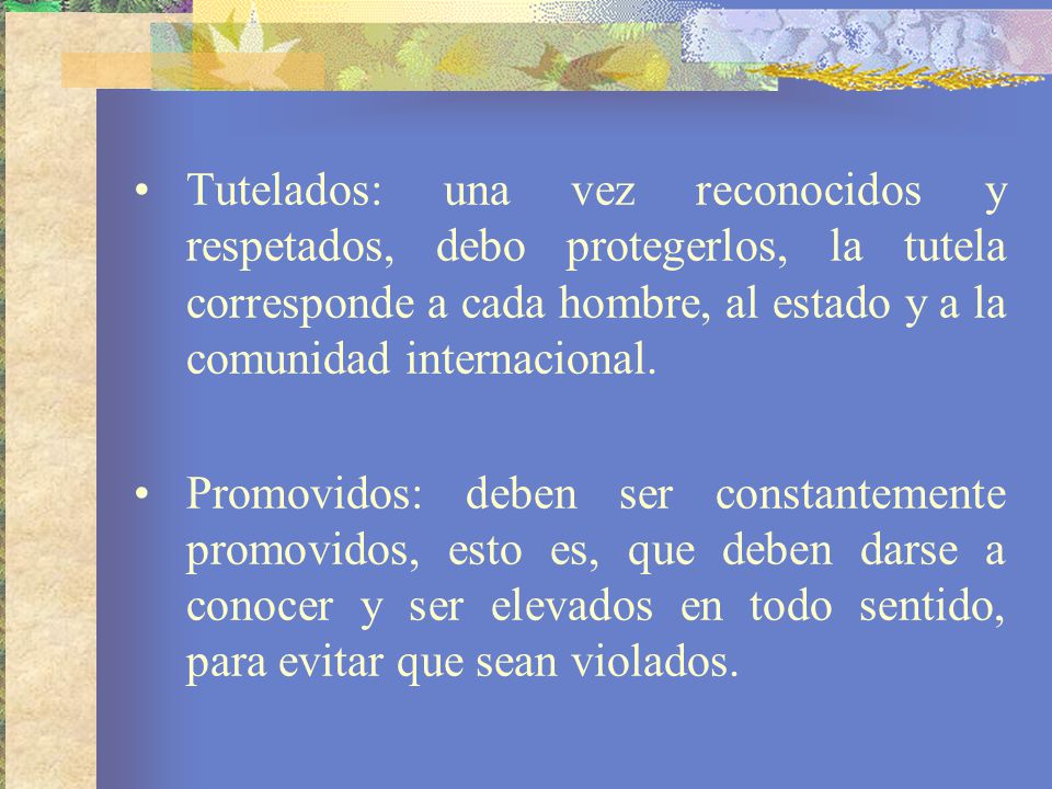 Tutelados: una vez reconocidos y respetados, debo protegerlos, la tutela corresponde a cada hombre, al estado y a la comunidad internacional.